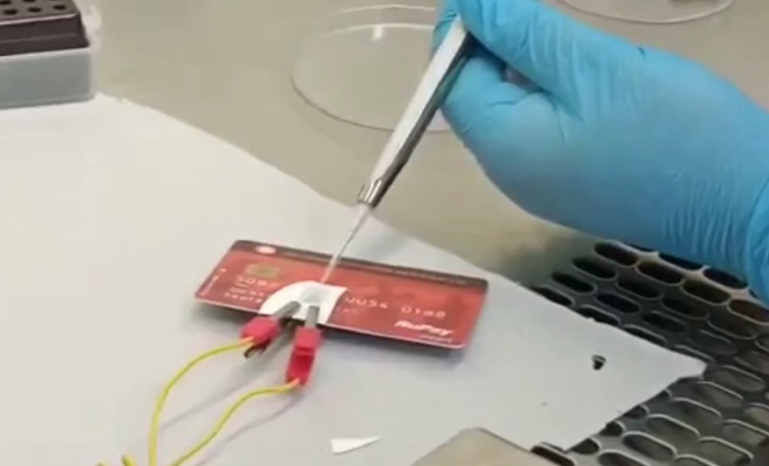 Portable ECG Monitor