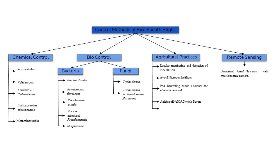  Different management strategies to control rice Sheath Blight disease