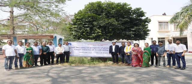 Brain Storming on prospects of protecting indigenous Ginger varieties of Assam using tools of IPR